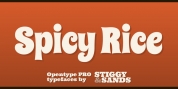 Spicy Rice Pro font download