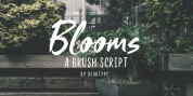 Blooms font download